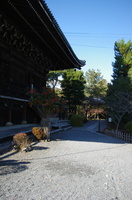 Arashiyama 054